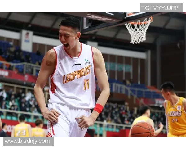 沈梓捷：从青年才俊到篮球明星的成长之路与奋斗历程